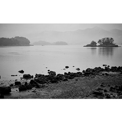 dailyPhoto36